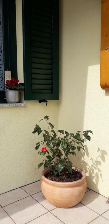Studio Laura Ičići Exterior foto